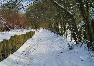 Turls Hill bridleway