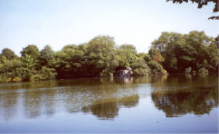 Parkes Hall Pool