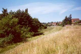 Valley looking westwards